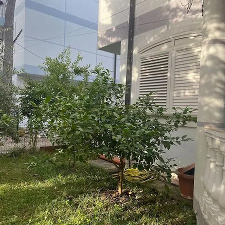 Near Beach, With Garden